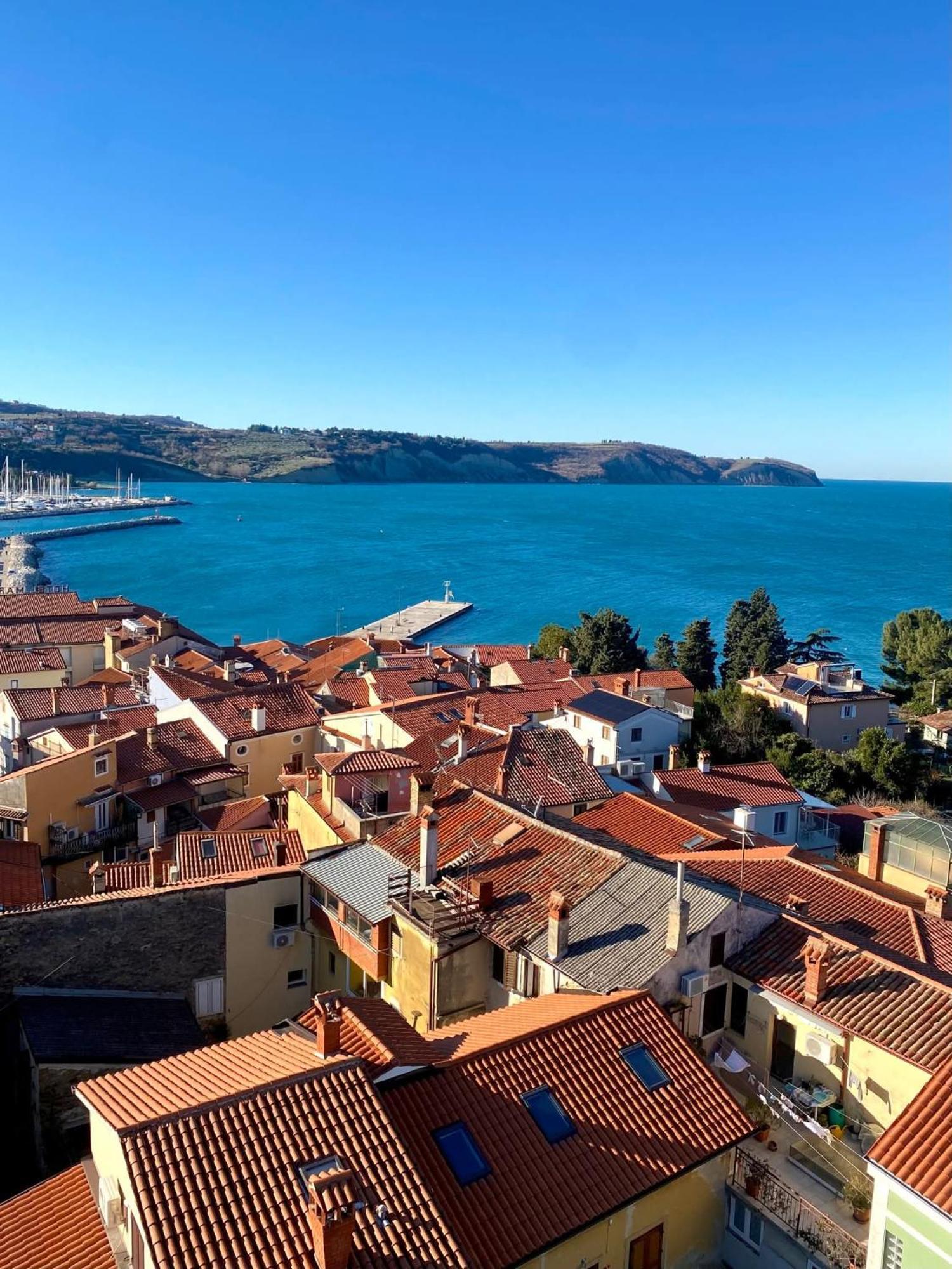 Apartma Rea Izola, Pergola & Terassa, Parking חדר תמונה