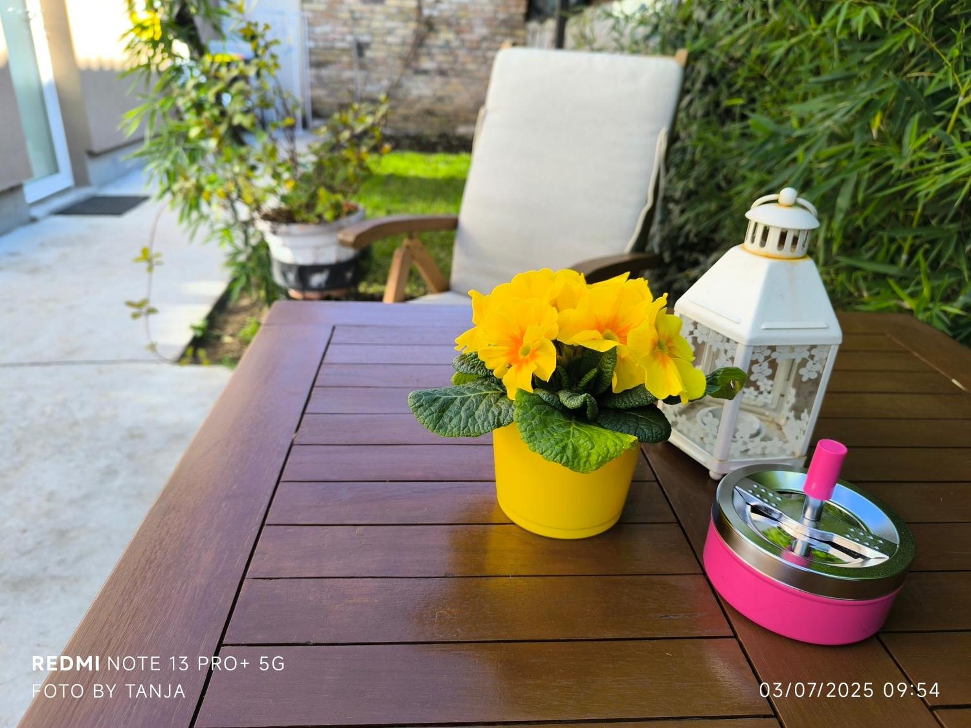 Apartma Rea Izola, Pergola & Terassa, Parking מראה חיצוני תמונה